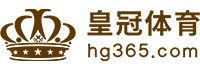 Logo 赢多多官网